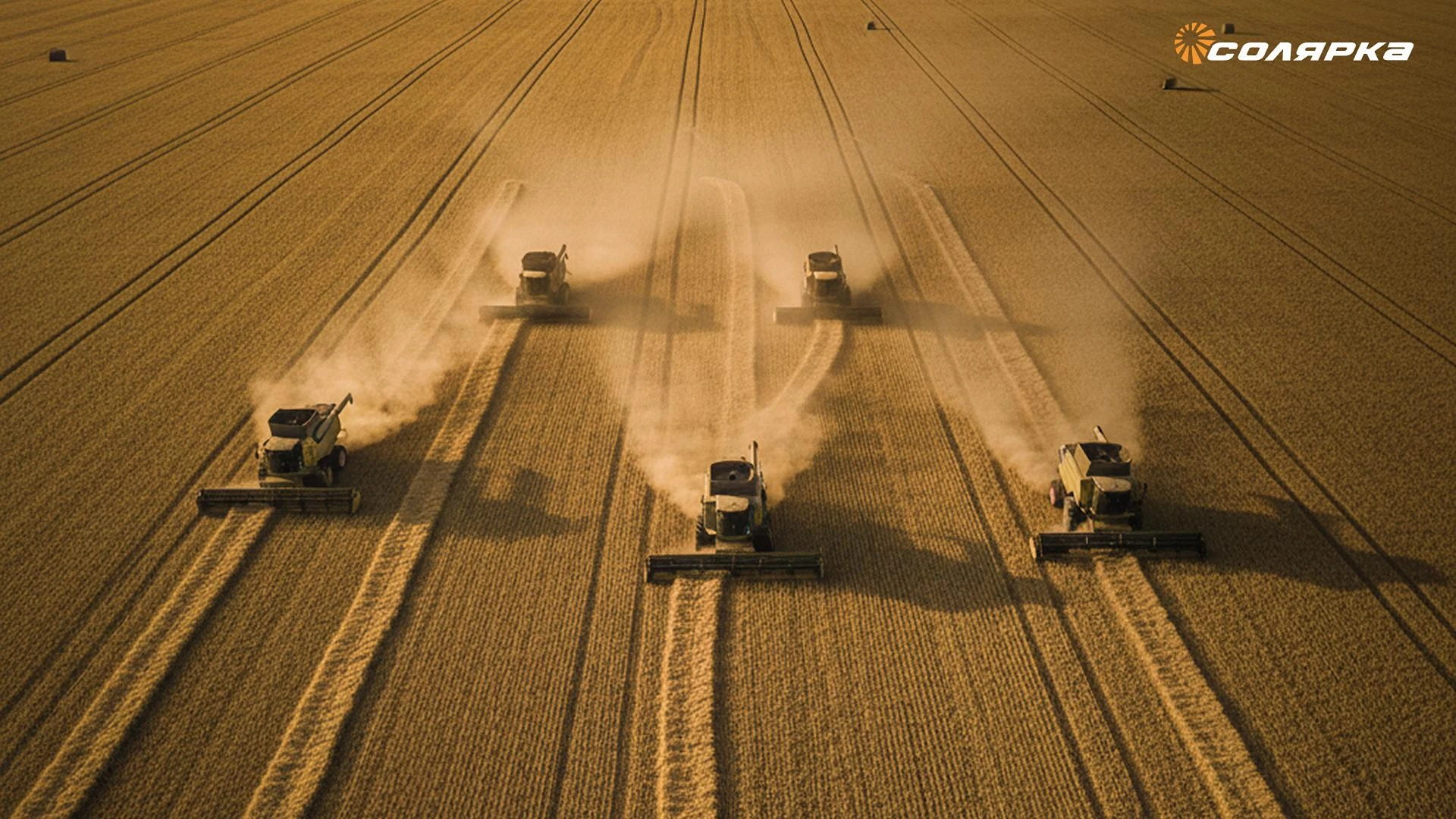 Картинка поста Каждый дополнительный 1 млн га — это порядка 3000 единиц комбайнов и тракторов — Владимир Кашин
